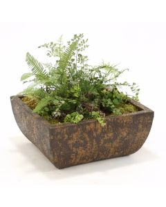 Ferns and Succulents in Square Crackled Deep Chocolate Stone Tray