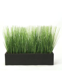 Green Grass in Rectangle Wood Box