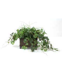 Grass and Grape Ivy in Dark Stained Rectangle Floor Planter