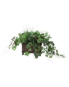 Grass and Grape Ivy in Dark Stained Rectangle Floor Planter