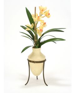 Champagne Cymbidium Orchids in Etruscan Vase and Metal Stand