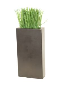 Green Grass in Tall Slim Cubist Planter