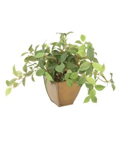 Mini Greenery 3-Footed Lacquered Brass Pot