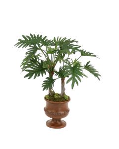 Philodendron Selloum Plant in Maple Finish Classic Urn