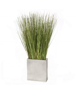 Grass in Silver Cube Planter