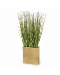 Grass in Gold Cube Planter