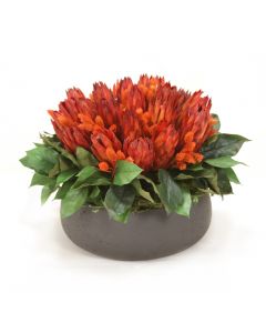 Red Repens Mixed with Phalaris and Foliage in Low Round Black Wash Planter