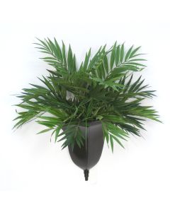 Palor Palm in Wall Sconce
