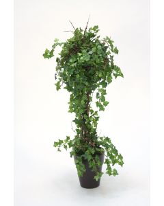 Mini Ivy Topiary in A Stoneware French Pot