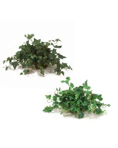 Greenery Assortment in Saucer- Set of 2