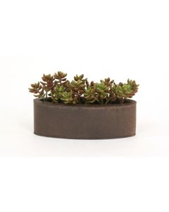 Burgundy Green Succulents in Oval Metal Planter