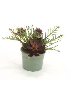 Burgundy and Sage Succulents & Thistle in Teal Clay Pot