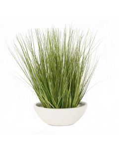 Green Grass in White Oval Planter