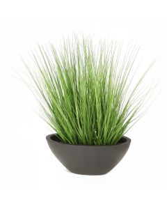 Green Grass in Black Oval Planter