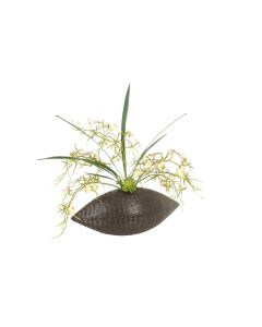 Green Orchid with Foliage and Succulents in Oval Planter