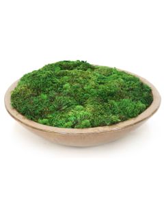 Mood Moss in Glazed Stoneware Bowl