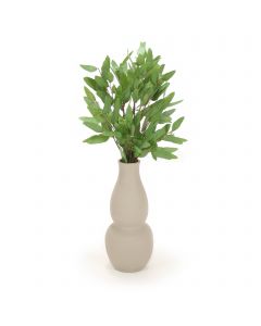 Eucalyptus in Gray Vase