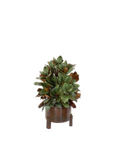 Magnolia Foliage in Wooden Barrell Container