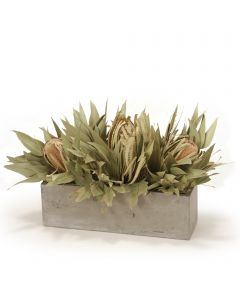 Banksia with Dried Eucalyptus in Concrete Window Box