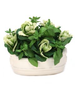 Kale with Basil in White Oval Planter