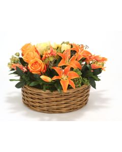 Yellow Tulips, Orange Lillies and Ranunculus Mix in Apple Basket