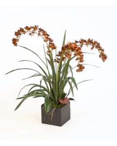 Brown Yellow Dendrobiums with Foliage in Gold Gabbi Container