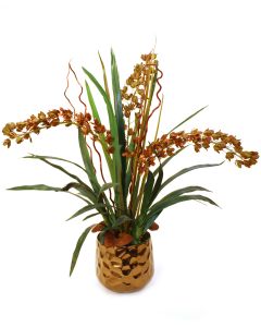 Brown Yellow Dendrobiums with Foliage in Gold Gabbi Container