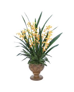 Gold Yellow Vanda Orchid Plant in Acanthus Leaf Urn