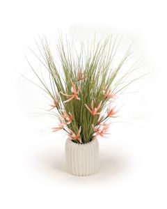Coral Orchids in White Pot