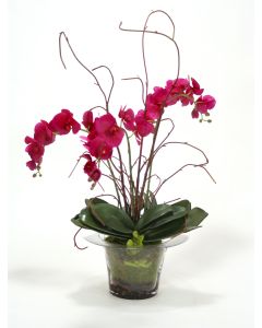 Violet Orchid with Kiwi Vines, Birch Twigs and Preserved Orchid Bark in Glass Planter
