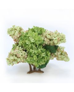 Hydrangea Mix in Glass Bowl with Tusk Base