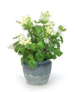 Basil and Safari Pine with Queen Anne Lace in Blue Earthy Pot