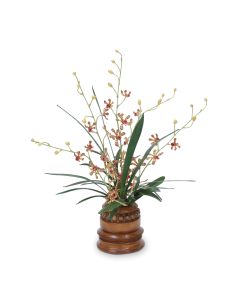 Orchid Foliage in Brown Wooden Vase