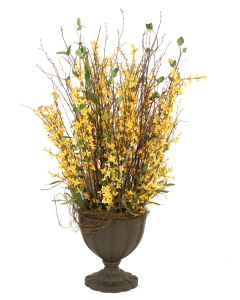 Yellow Forsythia with Limbs in Classic Urn