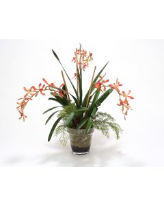 Orange Vanda Orchid with Orchid Foliage in Glass Flower Pot