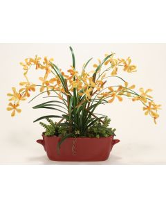 Orange Yellow Vanda Orchids with Orchid Folaige in Red Oval Planter