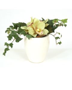 Green Cymbidium Orchid Bouquet in White Ceramic Vase