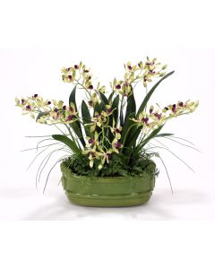Green Vanda Orchids with Ferns in A Green Glazed Planter