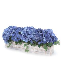 Blue Hydrangeas in White Washed Box