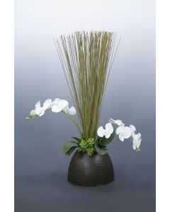 Phalaenopsis Orchid Garden in Bamboo Planter