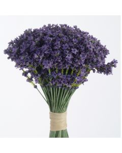 Raffia-Tied Lavender Bouquet (Sold in Multiples of 6)