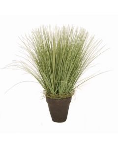 Basil Grass in Rust Pot