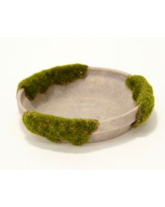 Md Mossed Saucer Moss Gray (Sold in Multiples of 2)