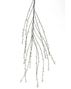 55" Salix Branch with Leaves (Curly Willow) Natural