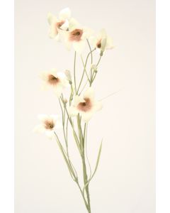 Wild Campanula in Ivory (Sold in Multiples of 12)