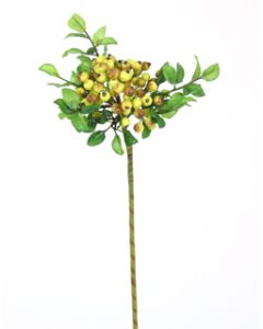 14" Wild Berry Ball Spray in Green Yellow (Sold in Multiples of 24)