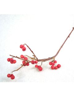 Cherry Spray in Red (Sold in Multiples of 12)