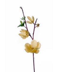 21" Saucer Magnolia in Cream Gold (Sold in Multiples of 6)
