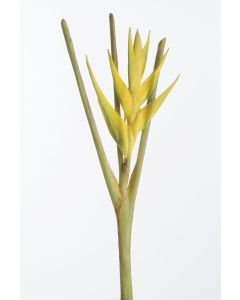 Heliconia Stem 27" in Yellow (Sold in Multiples of 4)