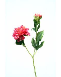 16" Dahlia Spray with 1 Flower 1 Bud